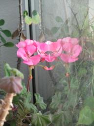 EIMG_8365