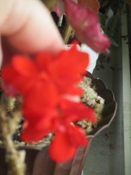 EIMG_8366