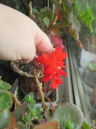 EIMG_8367