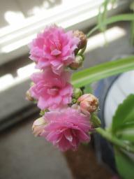 EIMG_8368