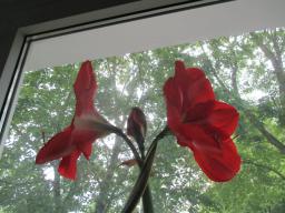 EIMG_8370