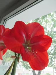 EIMG_8371