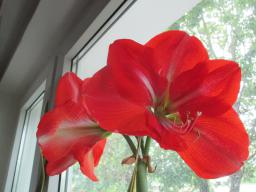 EIMG_8372