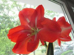 EIMG_8373