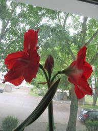 EIMG_8374