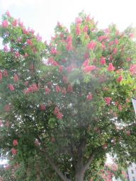 EIMG_8378