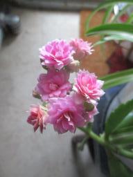 EIMG_8393