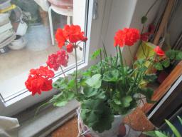 EIMG_8395