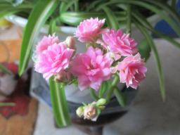 EIMG_8404