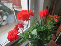 EIMG_8405