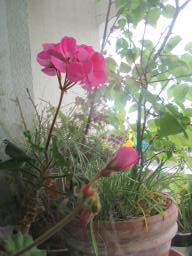 EIMG_8406