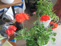EIMG_8410