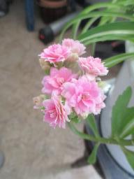 EIMG_8411