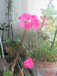 EIMG_8412