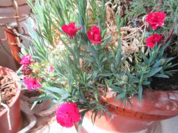 EIMG_8414