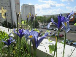 EIMG_8415