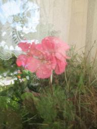 EIMG_8416