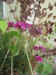 EIMG_8417