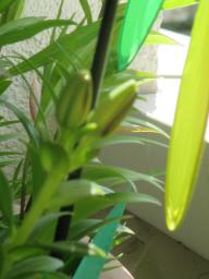 EIMG_8419