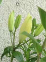 EIMG_8420