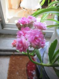 EIMG_8427