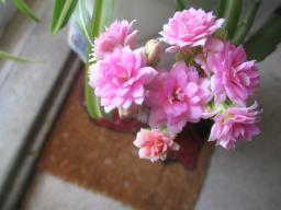 EIMG_8428