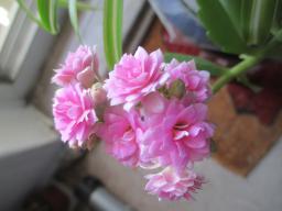 EIMG_8429