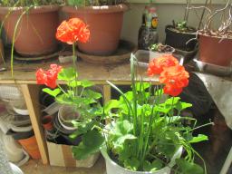 EIMG_8430