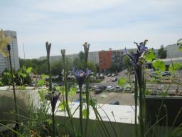 EIMG_8431