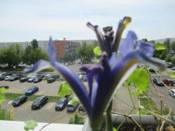 EIMG_8433