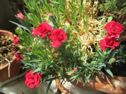 EIMG_8434