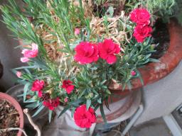 EIMG_8436