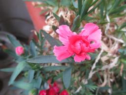EIMG_8437