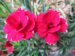 EIMG_8438