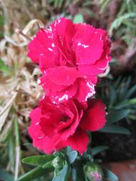 EIMG_8439