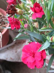 EIMG_8440