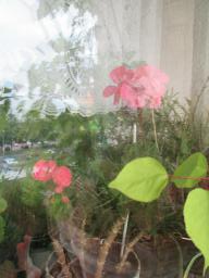 EIMG_8441