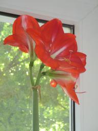 EIMG_8459