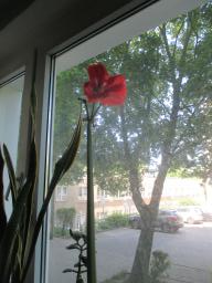 EIMG_8460