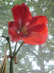 EIMG_8461