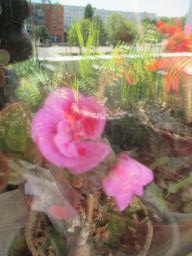EIMG_8463