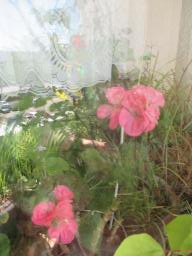 EIMG_8464