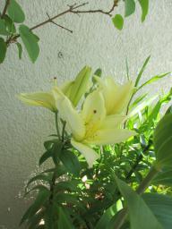 EIMG_8465
