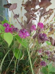 EIMG_8466