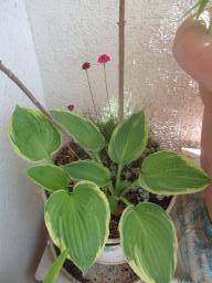 EIMG_8467