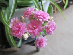 EIMG_8470