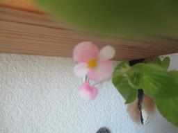 EIMG_8471