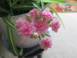 EIMG_8475