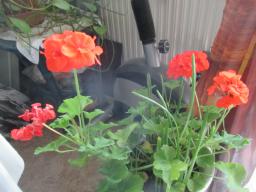 EIMG_8476
