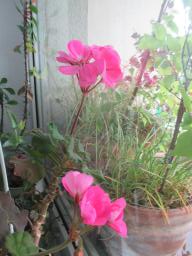 EIMG_8477